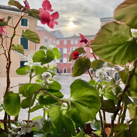 Stylish In Old Town Apartment Rovinj